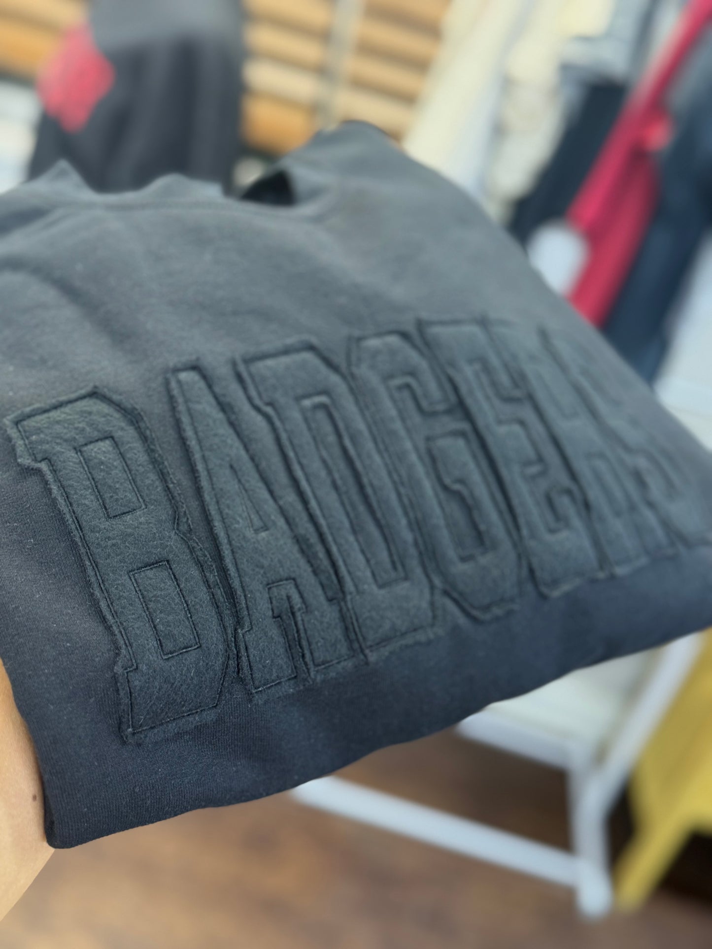School Mascot Appliqué Crewneck