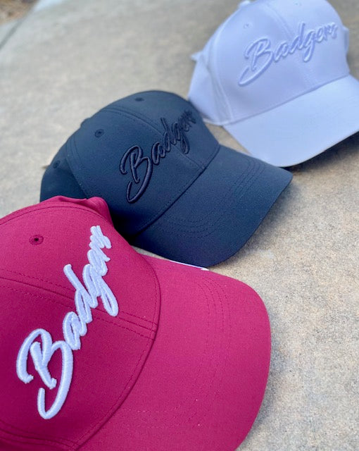 Nike Badger Hat