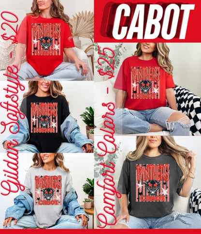 School Spirit Mascot Graphic Tee